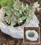 Dekorra Rock planted/Pet bowl- Model 130